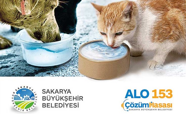 Onlar için bir kap su — haber görseli