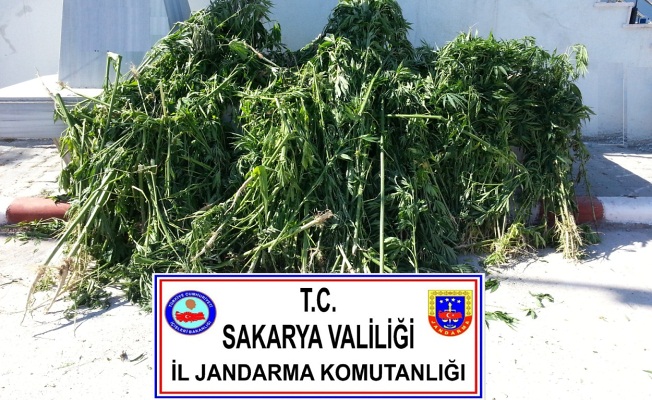 06 Temmuz 2017 Sakarya il Jandarma Asayiş Raporu — haber görseli