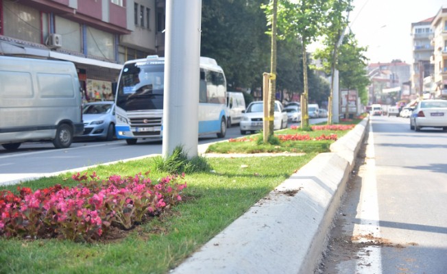 Karasu'yu Yeşil Kimliğe Bürüyeceğiz — haber görseli
