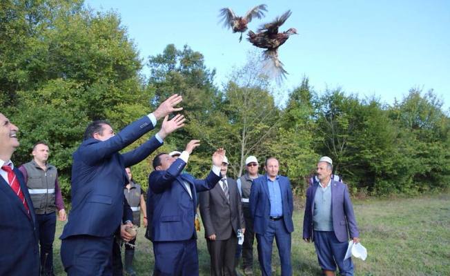 Bin  Sülün Doğaya Salındı — haber görseli