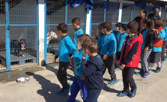 Karasulu Öğrencilerden Barınağa Ziyaret — haber görseli