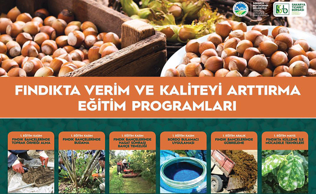 Bu eğitim fındıkta verim ve kaliteyi artırmak için — haber görseli