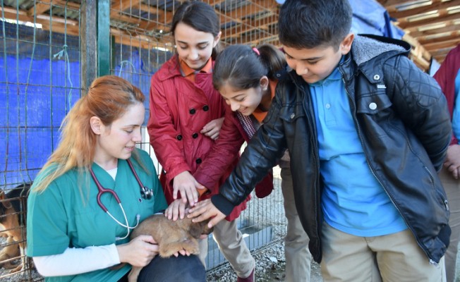 Karasulu Öğrencilerden Hayvan Barınağına Ziyaret — haber görseli