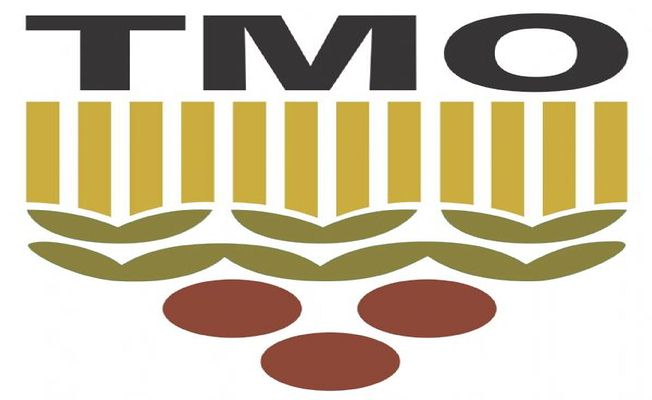 TMO Fındık Alımlarına devam ediyor — haber görseli