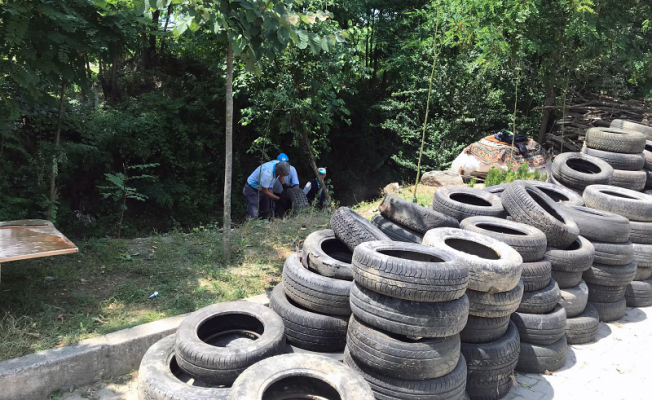 Sapanca’yı besleyen dereden 250 lastik çıkarıldı — haber görseli