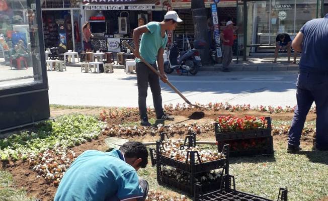Karasu Belediyesi, ilçenin dört bir tarafını çiçeklerle süslüyor — haber görseli
