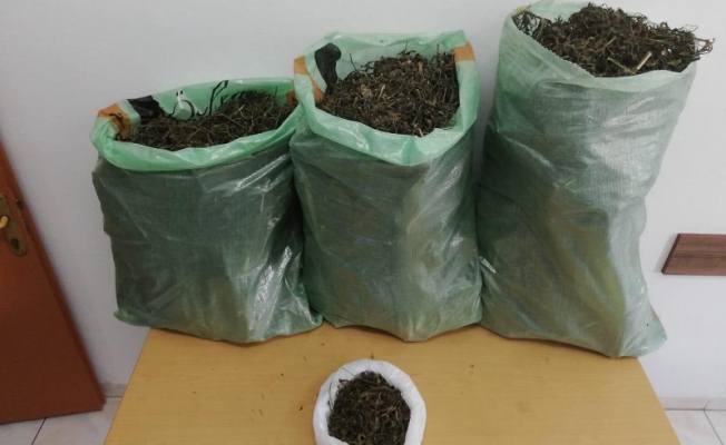 Kaynarca'da Jandarma Affetmedi — haber görseli