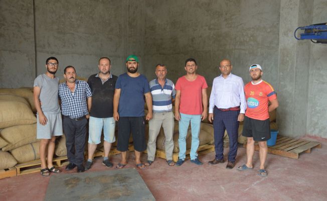 Fındık Üreticilerinin Kurduğu Kooperatif İhracatı Hedefliyor — haber görseli