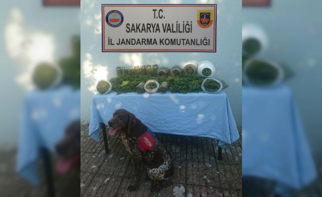 Jandarma’Dan Geçit Yok — haber görseli