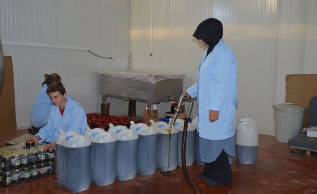 Genç Girişimci Kadın Köyde Kurdukları Fabrikadan Dünya'ya Pancar Pekmezi İhraç Ediyorlar — haber görseli