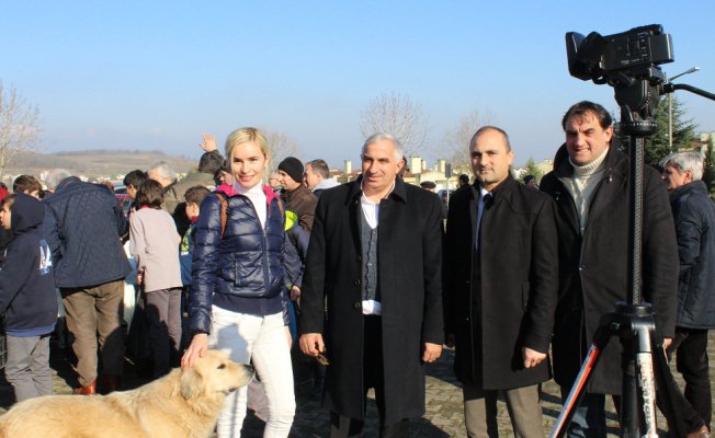 Yenikent’te Ağaç kesme, Ağaç dik — haber görseli