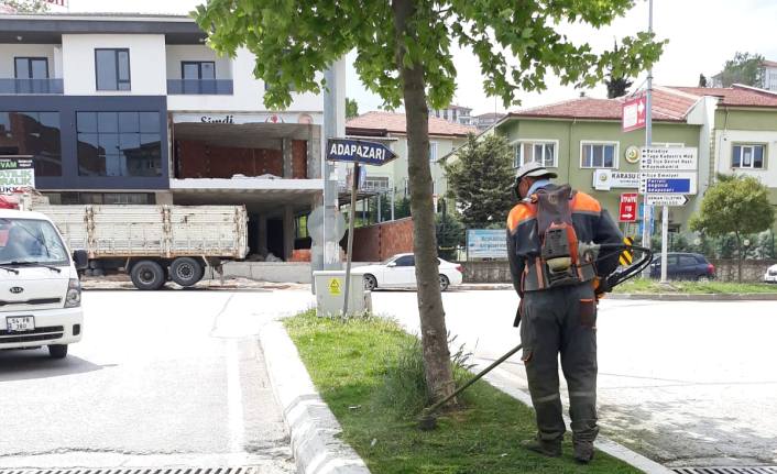 Karasu Belediyesi Park ve Bahçeler Müdürlüğünden Hummalı Çalışma — haber görseli