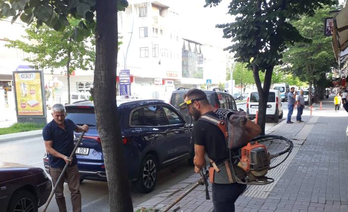 Karasu Belediyesi Park Bahçeler Müdürlüğü’nden Kapsamlı Çalışma — haber görseli