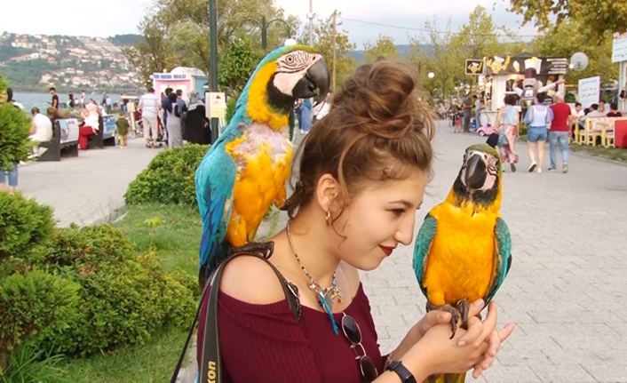 Sapanca Arapların Gözdesi Oldu — haber görseli