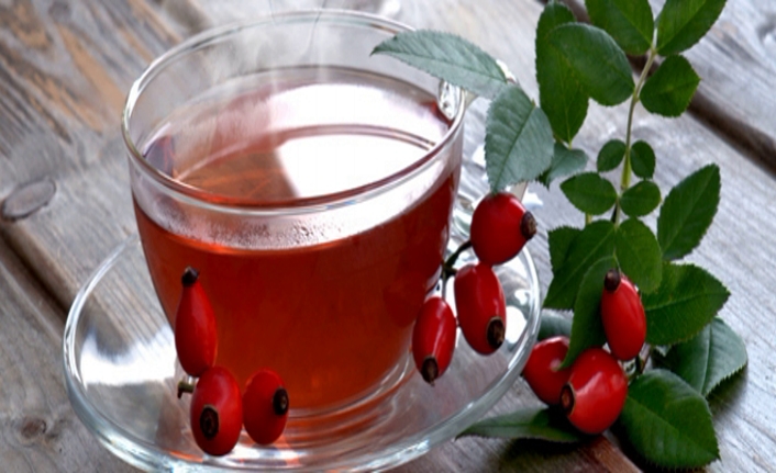 Kuşburnu'nun faydaları saymakla bitmiyor — haber görseli