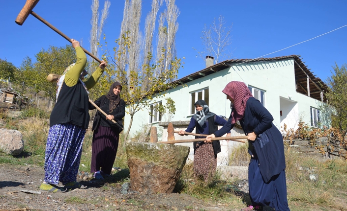 Atalardan Kalan Buğday Dövme Geleneği Sakarya’da Sürüyor — haber görseli