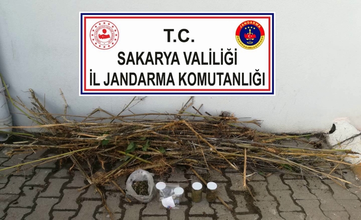 Geyve Doğançay’da Uyuşturucu Operasyonu — haber görseli