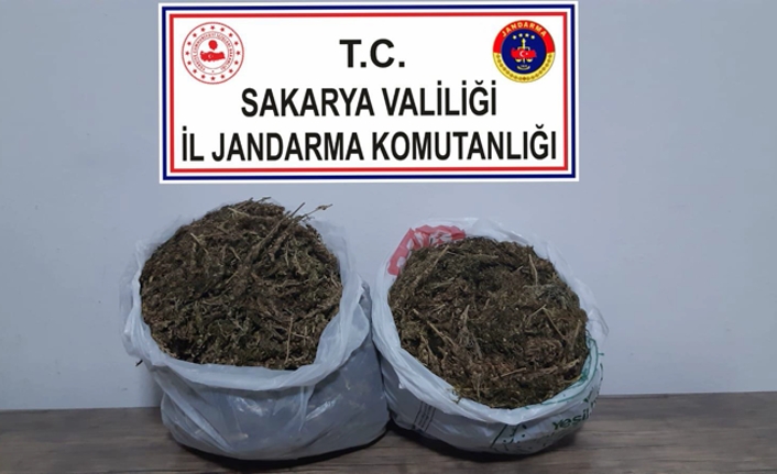 Jandarma Uyuşturucu Satıcılarına Göz Açtırmıyor — haber görseli