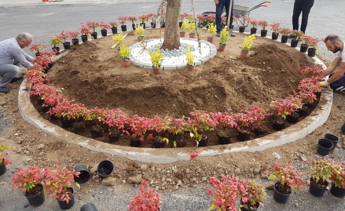 Karasu’da Park Bahçeler Birçok Alanda Çalışmalarına Devam Ediyor — haber görseli