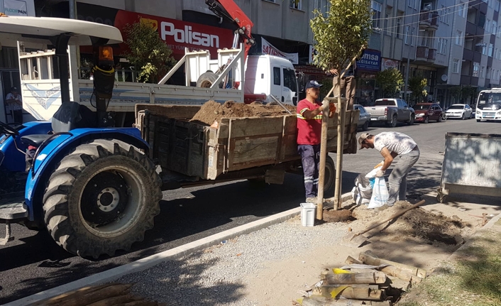 Yeşil Bir Karasu İçin Ağaçlandırma Çalışmalarımız Devam Ediyor — haber görseli