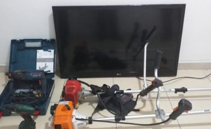 Akyazı Yazlık'da Ev Hırsızları Yakalandı — haber görseli