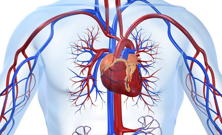 Damar Check-up nedir? — haber görseli