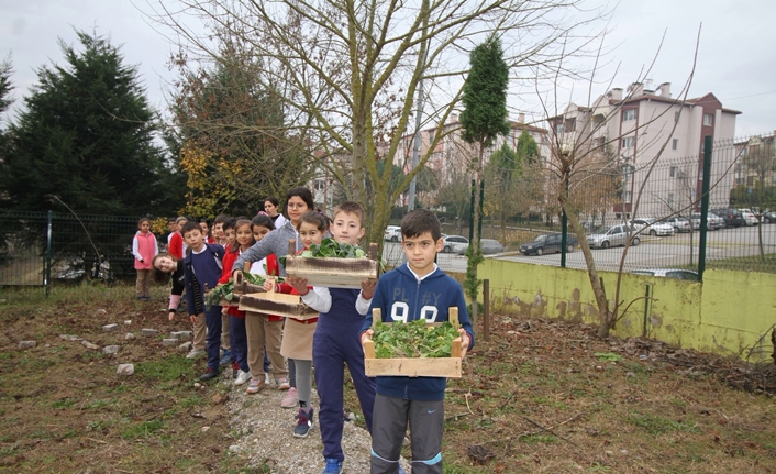 Osmanbey ilkokulunda “evde yaşam becerileri atölyesi’ açıldı — haber görseli