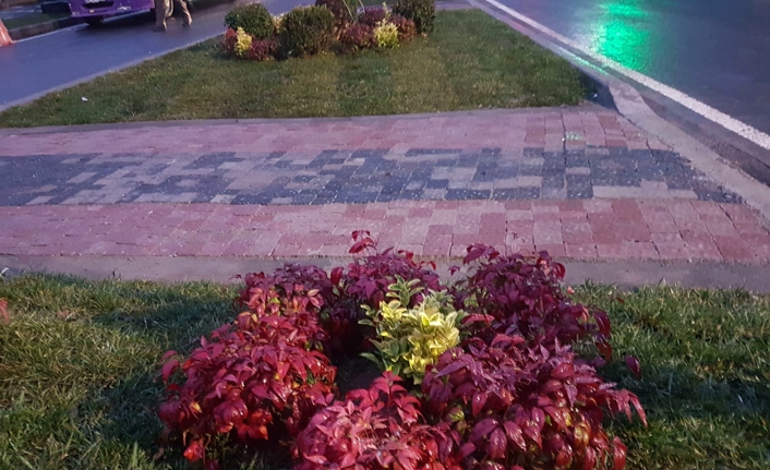 Peyzaj çalışmaları devam ediyor — haber görseli