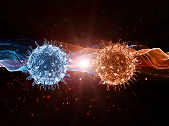 Coronavirüs internete sıçradı — haber görseli