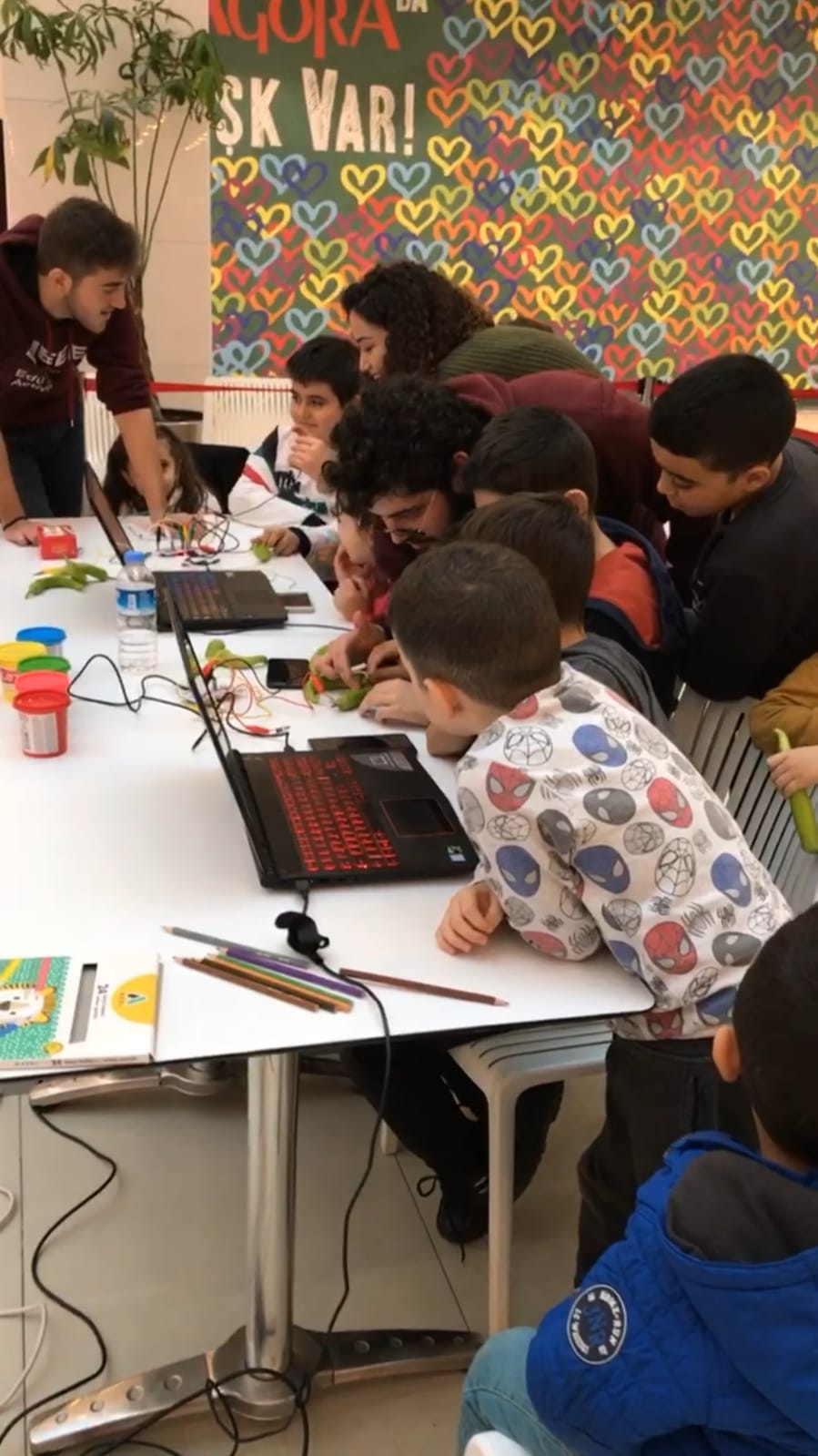 IEEE Öğrenci Topluluğundan Temel Algoritma ve Basit Robotik Kodlama Eğitimi — haber görseli