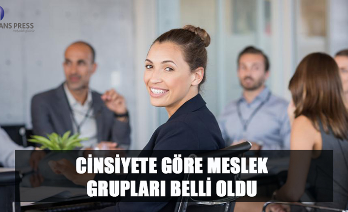 Cinsiyete göre meslek grupları belli oldu — haber görseli