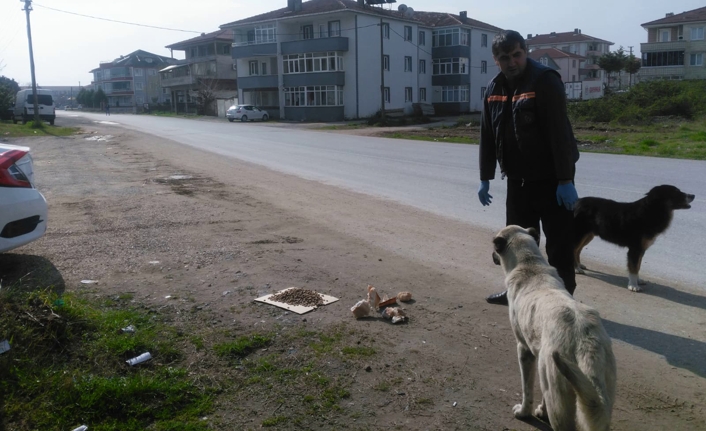 Sokaktaki Dostlarımıza Sahip Çıkalım — haber görseli