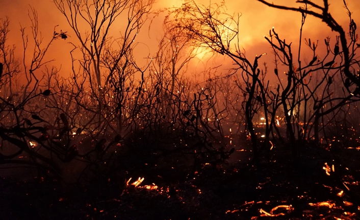 İnsan doğanin bir parçası olduğunu hatırlamalı — haber görseli