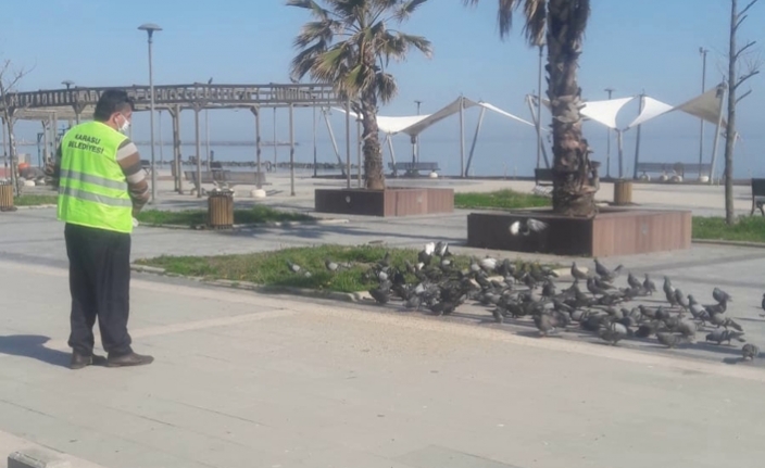 Sevimli Can Dostlarımıza Düzenli Mama, Yem ve Su Desteği — haber görseli