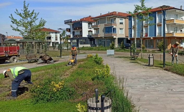 Karasu Belediyesi Çim Biçme Çalışmalarına Devam Ediyor — haber görseli