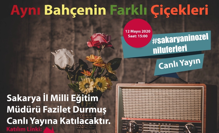 Sakarya MEM'den Engelliler Haftası Etkinlikleri — haber görseli