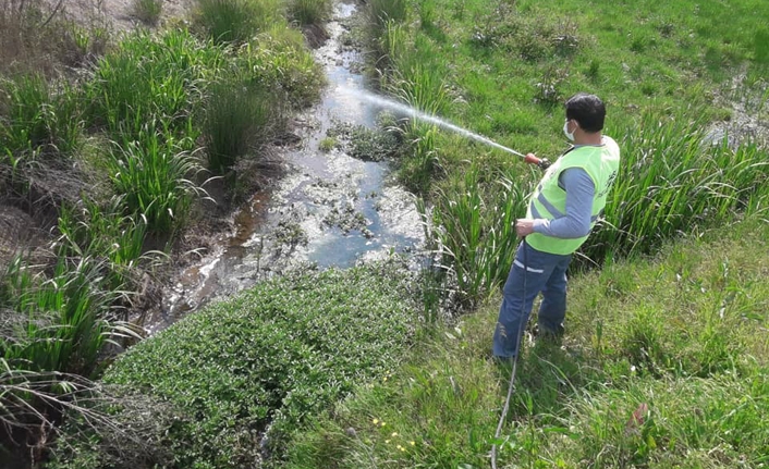 Tüm Mahallelerde Larva İlaçlaması Yapıldı — haber görseli
