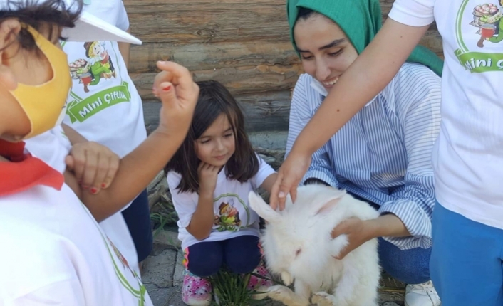 Çocuklar doğa ve hayvan sevgisini Mini Çiftlik'te öğreniyorlar — haber görseli