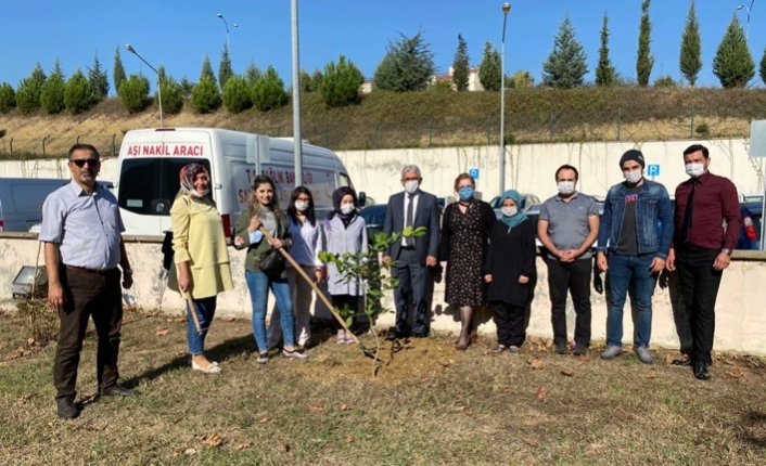 Sakarya MEM’den ‘En Güzel Meydan Okuma’ — haber görseli