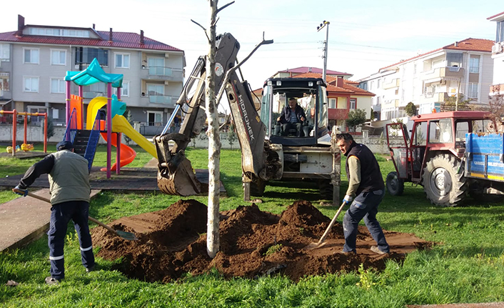 Sökülen Ağaçlar Çocuk Parklarına Dikildi — haber görseli