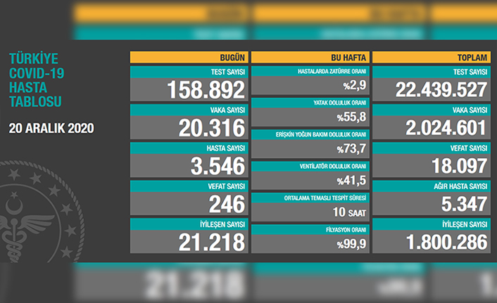 Türkiye'de son 24 saatte 246 kişi vefat etti! — haber görseli
