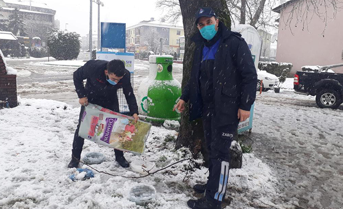 Sapanca Belediyesi Sokak Hayvanlarını Unutmadı — haber görseli