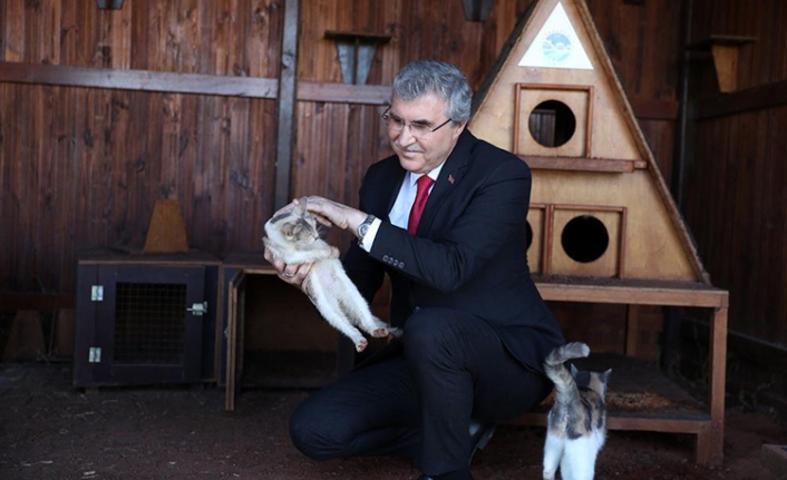 Sokak Hayvanları Rehabilitasyon Merkezi ihaleye çıkıyor — haber görseli