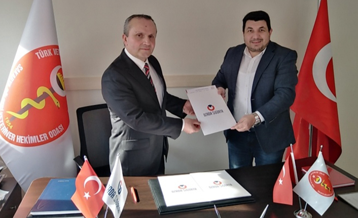 Türkiye’de bir ilk!.. "Veterinerler artık sigortalı" — haber görseli