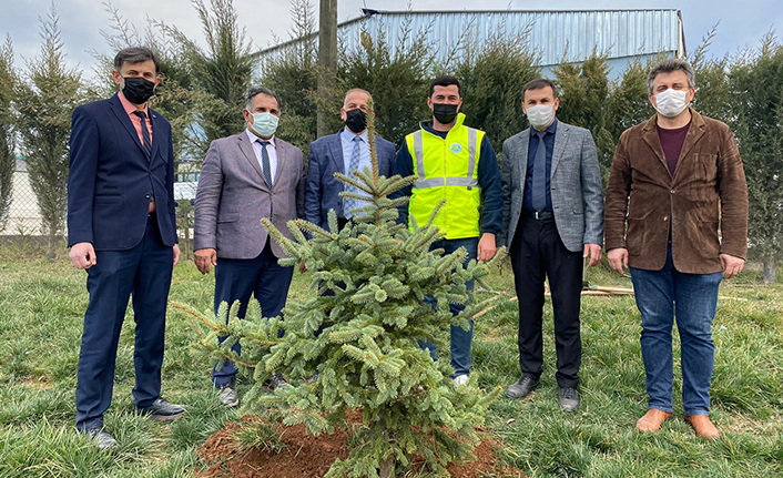 Bu Yıl hedef 5 bin fidan — haber görseli