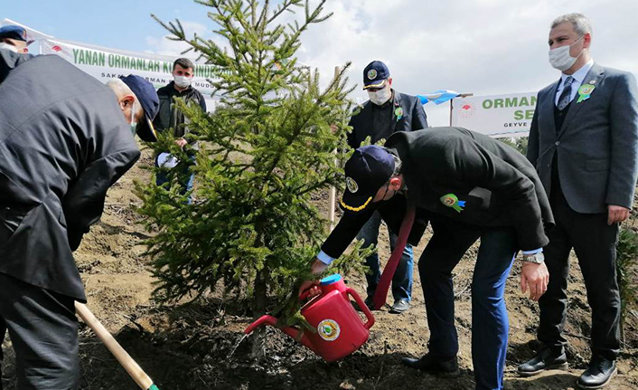  21 Mart Ormancılık Haftası Taraklı’da da Kutlandı — haber görseli