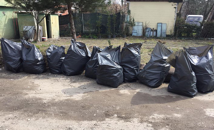 Göl çevresinden 10 poşet çöp toplandı — haber görseli