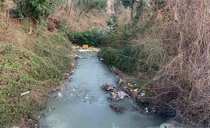 Sapanca’yı besleyen dereler temiz akıyor — haber görseli
