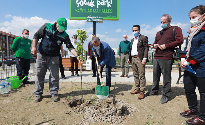 Çocuk Parklarına Meyve Fidanı Dikiliyor — haber görseli