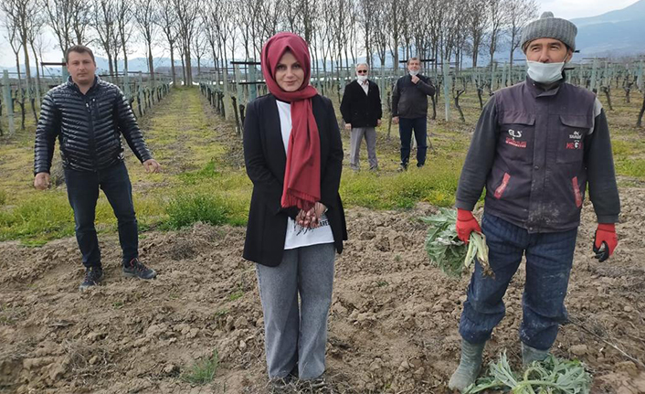 Kocaali’nin Gelini Ziraat Mühendisi Canan Salt — haber görseli